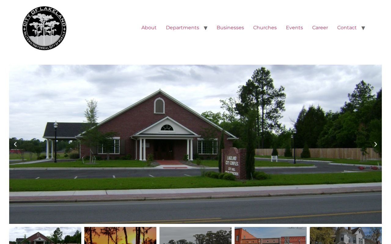 Lakeland criminal history official Georgia city website